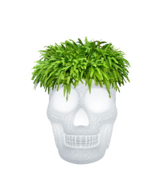 Vaso de flores recarregável QEEBOO 70009LED com lâmpada LED para champanhe e refrigerador.
