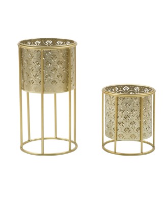 P/VASI GOLVY PAIR -A-