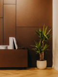 Painéis BOISERIE Siderio