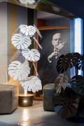 Planta de ARTESANATO E ARTESANATO MONSTERA