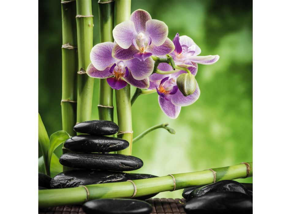 Pintura BAMBOO G2246 PINTDECOR
