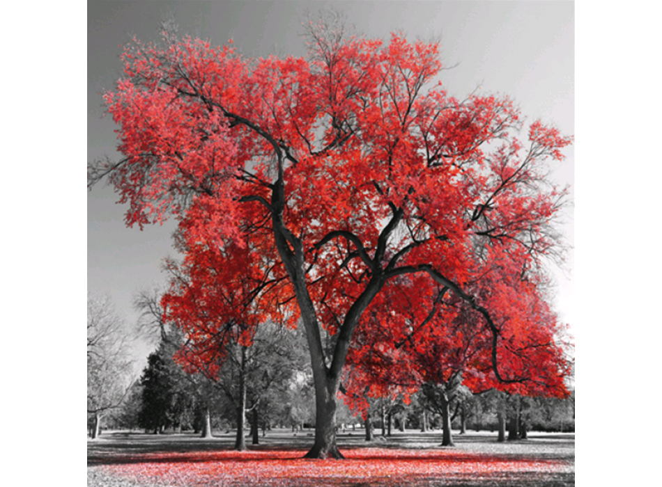 Estrutura BIG RED TREE G4126 PINTDECOR