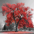 Estrutura BIG RED TREE G4126 PINTDECOR