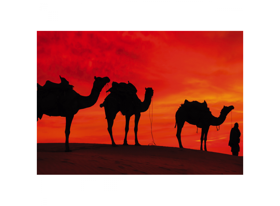 CAMELOS NO DESERTO G2030 PINTDECOR