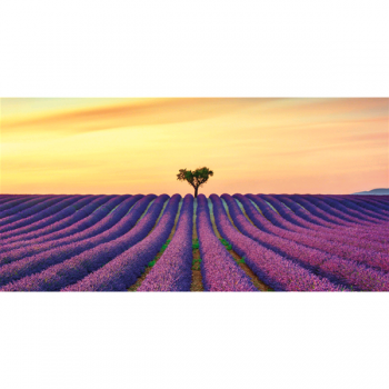 INFINITE FIELDS G4138 PINTDECOR pintura