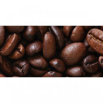Pintura CAFÉ G3938 PINTDECOR