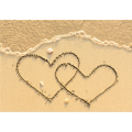 Pintura TWIN HEARTS G2870 PINTDECOR