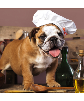 Estrutura DOG CHEF G2058 PINTDECOR