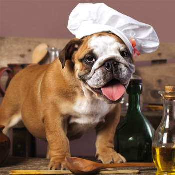 Estrutura DOG CHEF G2058 PINTDECOR