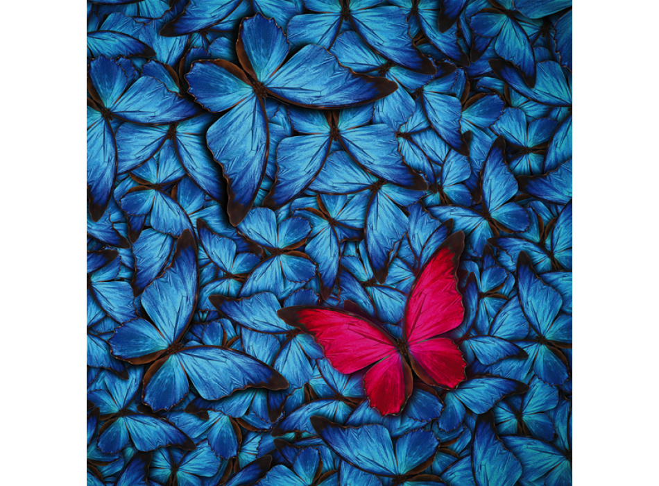 Pintura BORBOLETA MAGENTA G2088 PINTDECOR