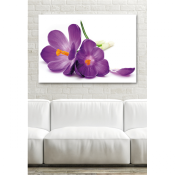 Pintura FLOR ROXA G1892 PINTDECOR