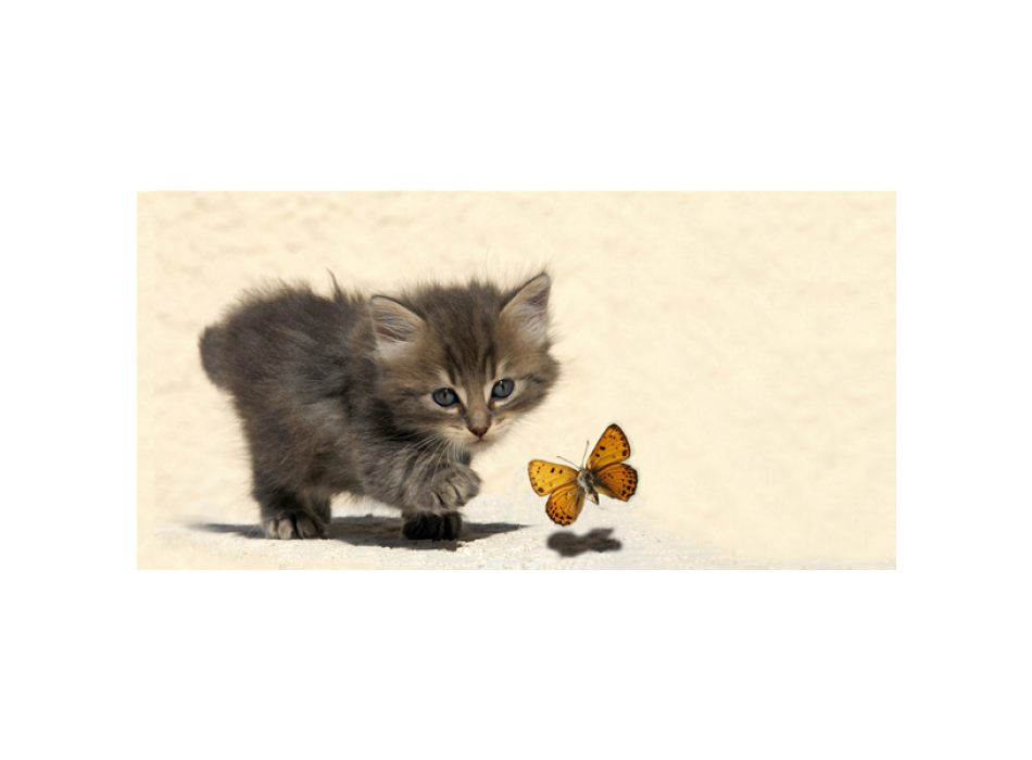 Pintura G1588 PINTDECOR - GATINHO E BORBOLETA
