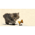 Pintura G1588 PINTDECOR - GATINHO E BORBOLETA