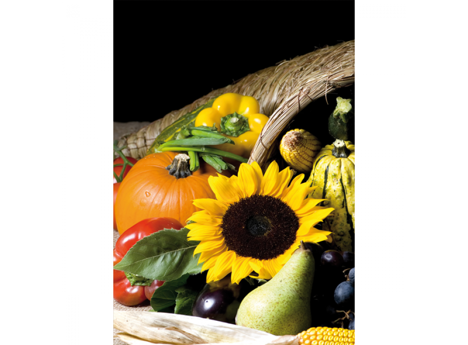 Pintura de Girassol G2752 PINTDECOR