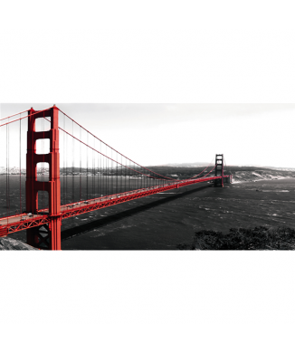 PONTE GOLDEN GATE G2102 PINTURA DECORATIVA