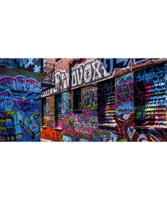 Pintura GRAFFITI 2 G1310 PINTDECOR