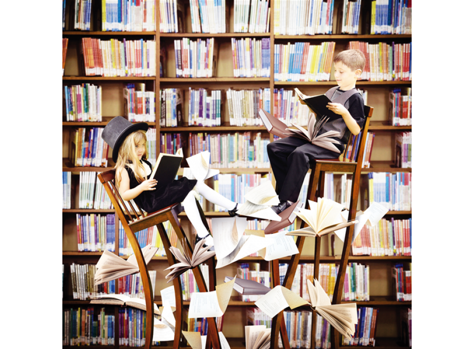 Pintura NA BIBLIOTECA G1598 PINTDECOR