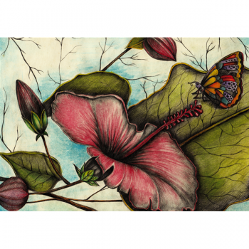 Pintura A BORBOLETA NO HIBISCO G1988 PINTDECOR