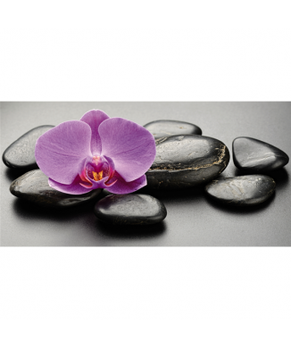 Moldura LILAC ORCHIDE G2264 PINTDECOR