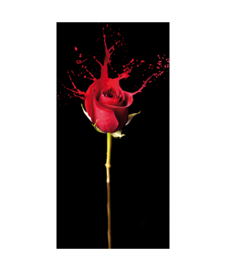 Estrutura RED FLUID G2500 PINTDECOR