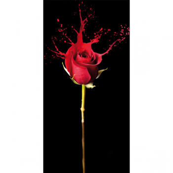 Estrutura RED FLUID G2500 PINTDECOR