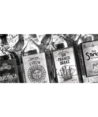 RUM G5892 PINTDECOR Pintura