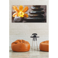 PEDRAS PRETAS G2254 PINTDECOR pintura
