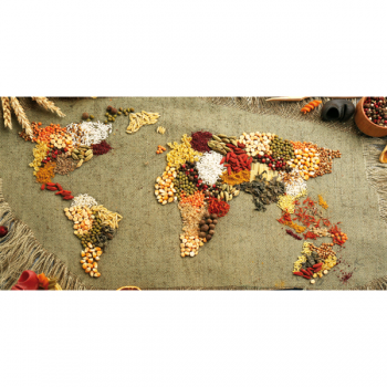 MUNDO DAS ESPECIARIAS G3926 MOLDURA PINTDECOR