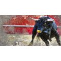 TOURO NA ARENA G2236 PINTDECOR Pintura