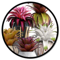 Pintura de vaso de flores GT6290 PINDECOR