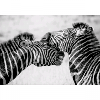 Pintura ZEBRE G5934 PINTDECOR