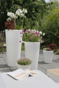 Vaso Clássico Luminoso XL 32060 Design 8 Estações