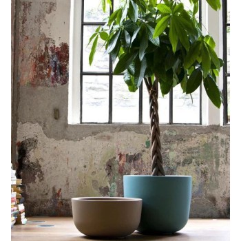 VASO XÍCARA 445 SERRALUNGA