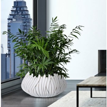 Gaspeau Resin Honduras