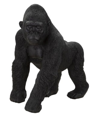 GORILLA SVART