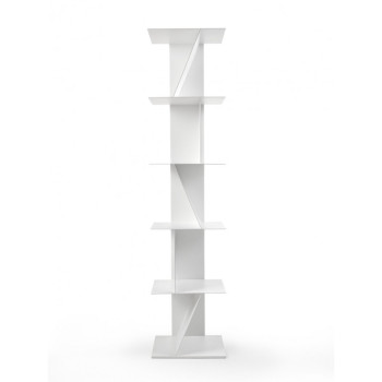 Jupiter Siderius-biblioteket