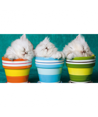 Målning 3 KATTUNGAR G1590 PINTDECOR