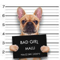 BAD GIRL-ramverk G2052 PINTDECOR