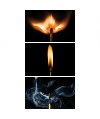 CARPE DIEM G2504 PINTDECOR ramverk