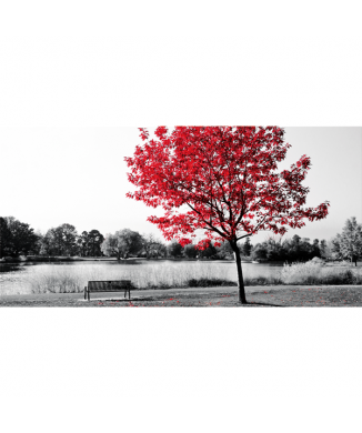 CENTRAL PARK-målning G2524 PINTDECOR