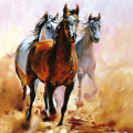 HÄSTKAPPLÖPNING G2002 PINTDECOR-målning