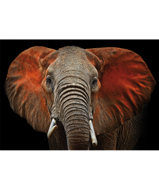 ELEFANT-ramverk G3276 PINTDECOR