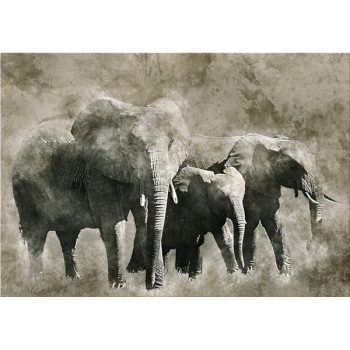 Målning ELEFANTER G6004 PINTDECOR