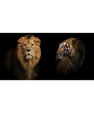 FELINI G3280 PINTDECOR Målning