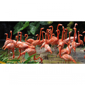 Målning FLAMINGO G1538 PINTDECOR
