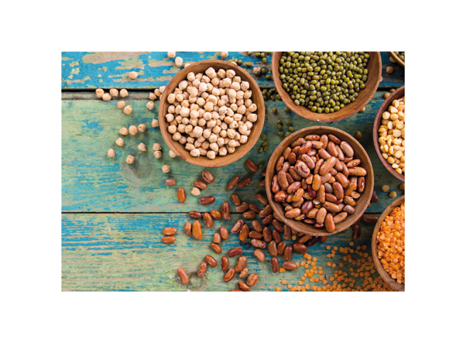 BALJVÄXTER G2678 PINTDECOR Målning