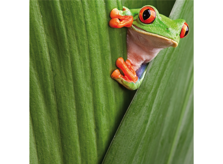 KAMOUFLAGE G3250 PINTDECOR-målning