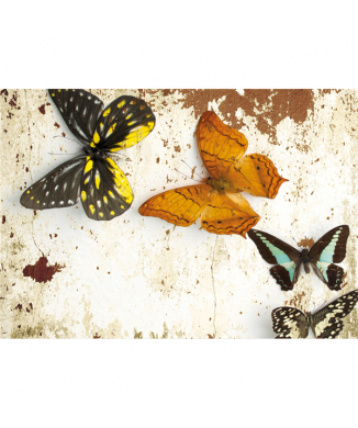 PAPILLONS G3352 PINTDECOR ramverk