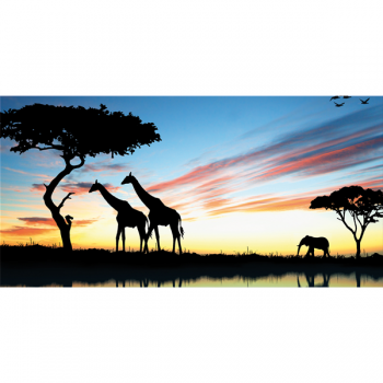 SAVANA 2 målning G3334 PINTDECOR