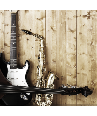 MUSIKINSTRUMENT G1506 PINTDECOR målning